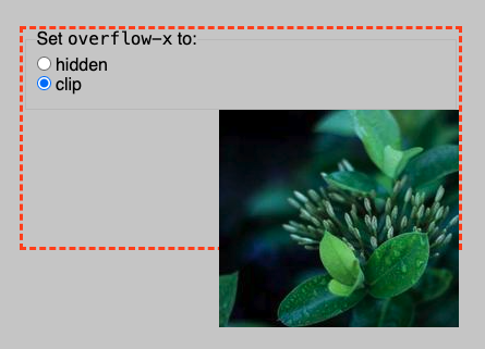 overflow clip example