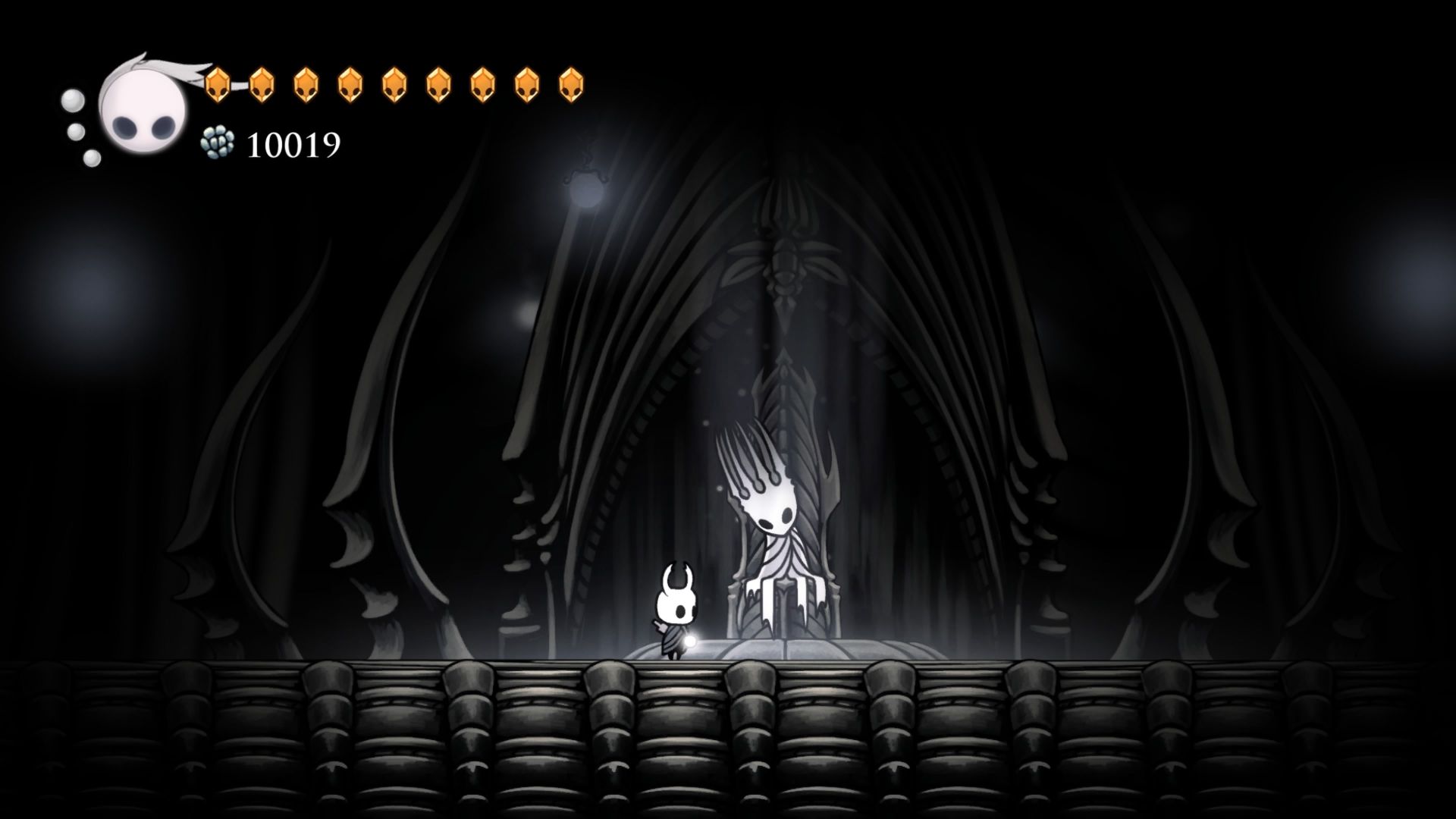 白王你好白王再見